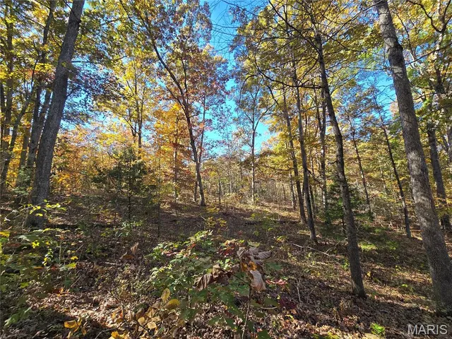 $800,000 | 107 Railroad Lane, Doe Run, MO 63637