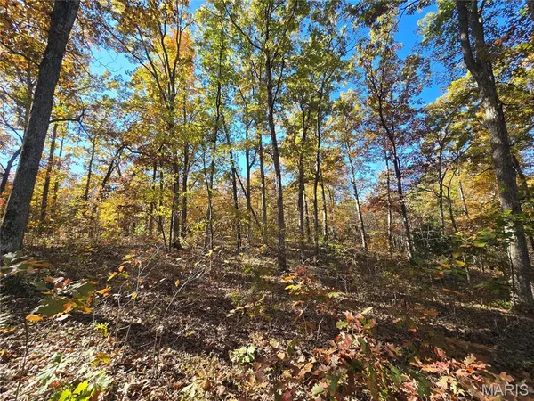 $699,900 | 107 Railroad Lane, Doe Run, MO 63637
