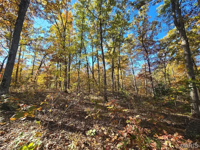 $800,000 | 107 Railroad Lane, Doe Run, MO 63637