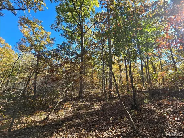 $800,000 | 107 Railroad Lane, Doe Run, MO 63637