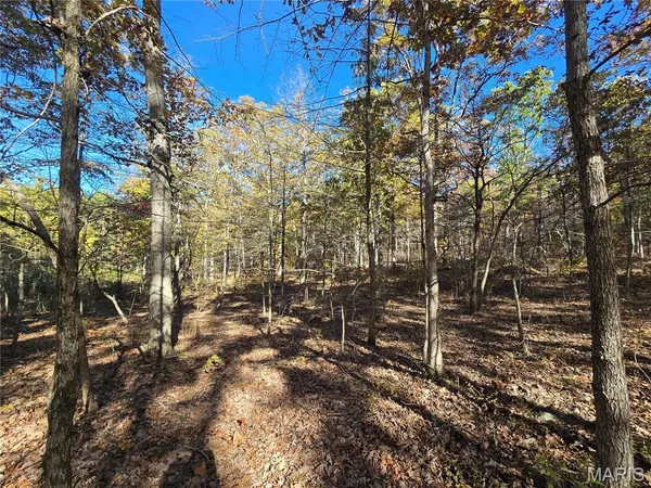 $699,900 | 107 Railroad Lane, Doe Run, MO 63637