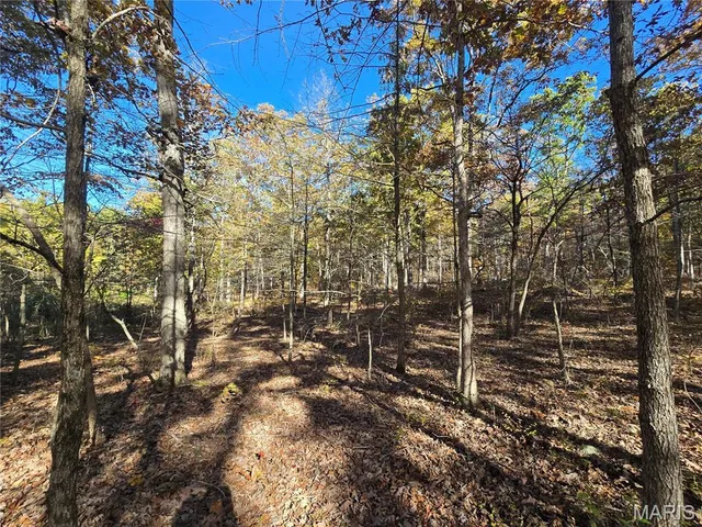 $800,000 | 107 Railroad Lane, Doe Run, MO 63637