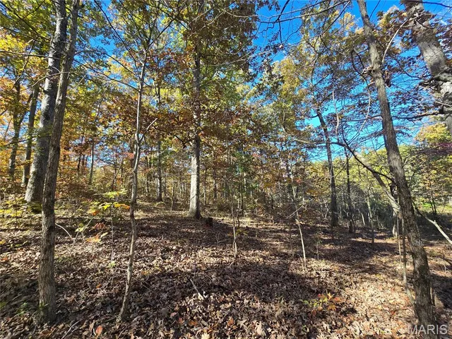 $800,000 | 107 Railroad Lane, Doe Run, MO 63637