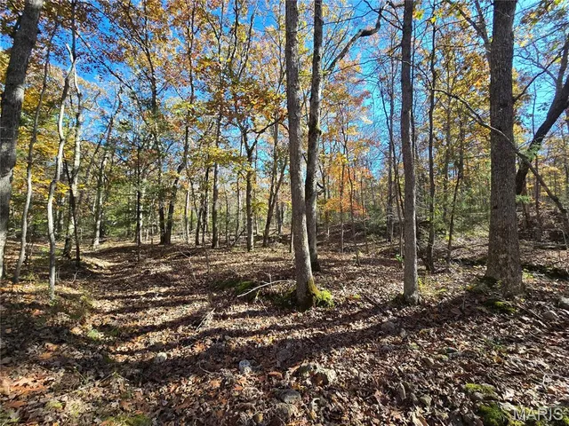 $800,000 | 107 Railroad Lane, Doe Run, MO 63637