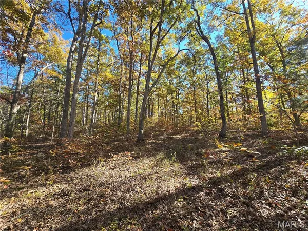$699,900 | 107 Railroad Lane, Doe Run, MO 63637