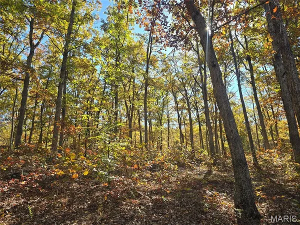 $699,900 | 107 Railroad Lane, Doe Run, MO 63637