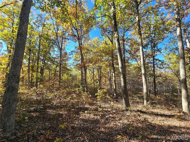 $800,000 | 107 Railroad Lane, Doe Run, MO 63637