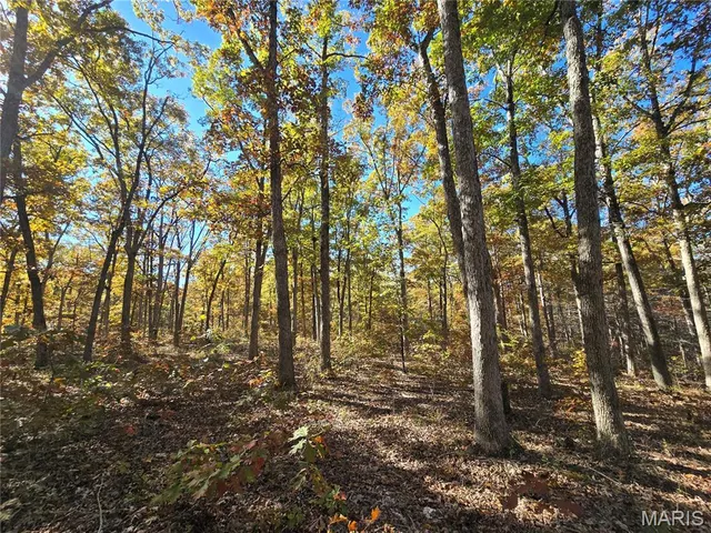 $800,000 | 107 Railroad Lane, Doe Run, MO 63637