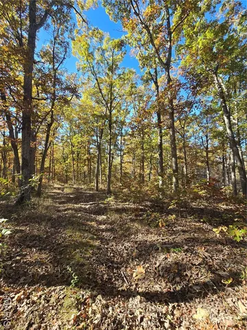 $800,000 | 107 Railroad Lane, Doe Run, MO 63637