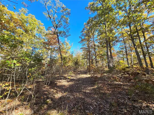 $800,000 | 107 Railroad Lane, Doe Run, MO 63637