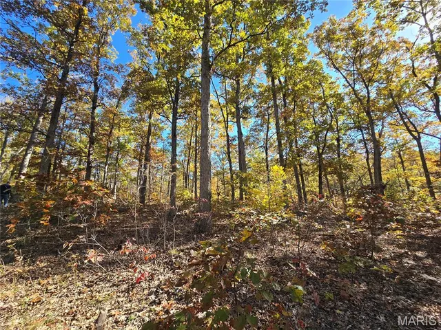 $800,000 | 107 Railroad Lane, Doe Run, MO 63637