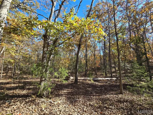 $800,000 | 107 Railroad Lane, Doe Run, MO 63637