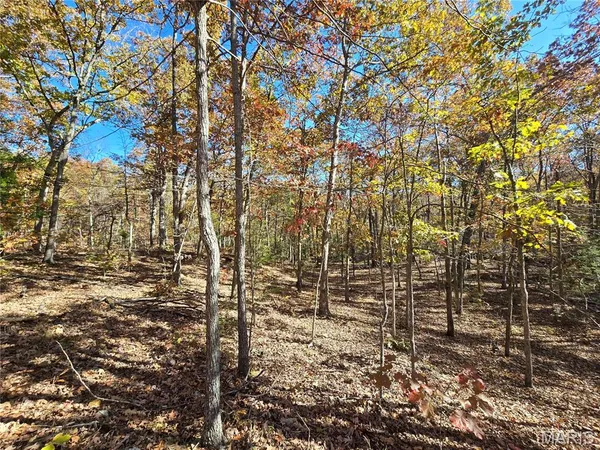 $699,900 | 107 Railroad Lane, Doe Run, MO 63637