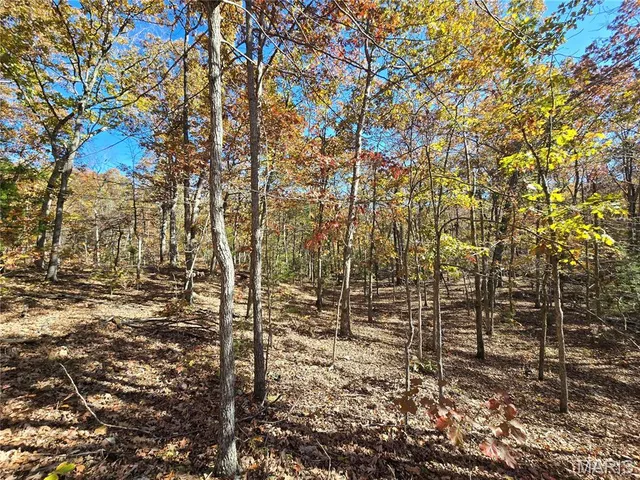 $800,000 | 107 Railroad Lane, Doe Run, MO 63637