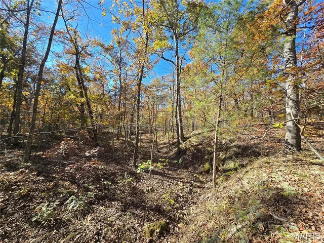 $800,000 | 107 Railroad Lane, Doe Run, MO 63637