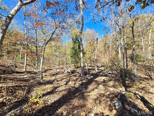 $800,000 | 107 Railroad Lane, Doe Run, MO 63637