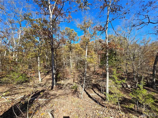 $800,000 | 107 Railroad Lane, Doe Run, MO 63637