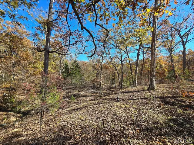 $800,000 | 107 Railroad Lane, Doe Run, MO 63637