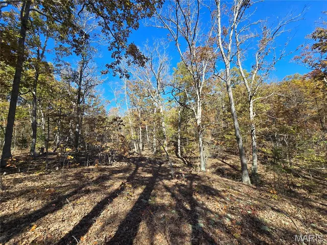 $800,000 | 107 Railroad Lane, Doe Run, MO 63637