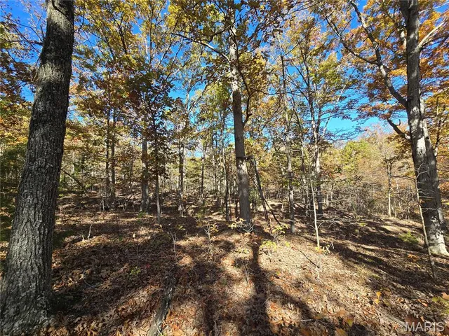 $800,000 | 107 Railroad Lane, Doe Run, MO 63637