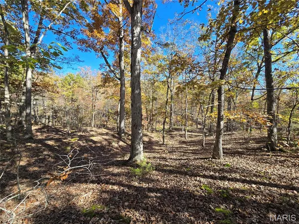 $699,900 | 107 Railroad Lane, Doe Run, MO 63637