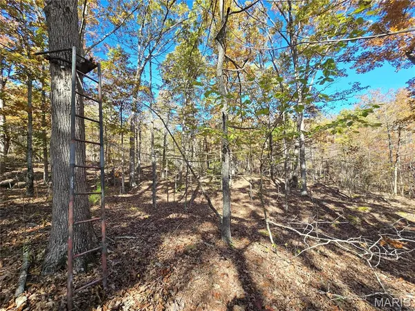 $699,900 | 107 Railroad Lane, Doe Run, MO 63637