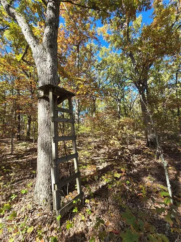 $800,000 | 107 Railroad Lane, Doe Run, MO 63637