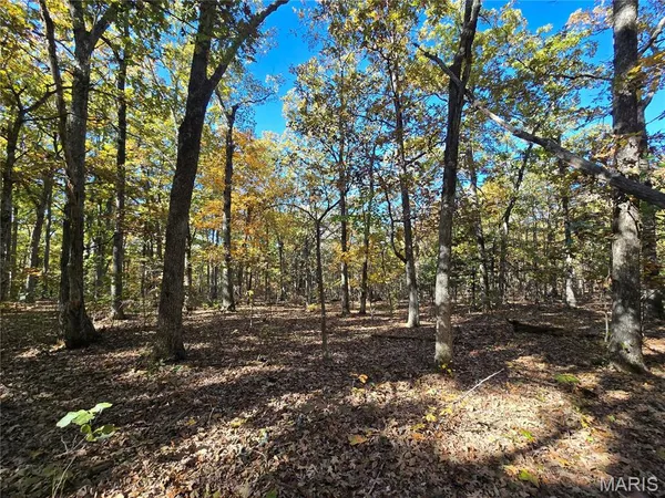 $699,900 | 107 Railroad Lane, Doe Run, MO 63637