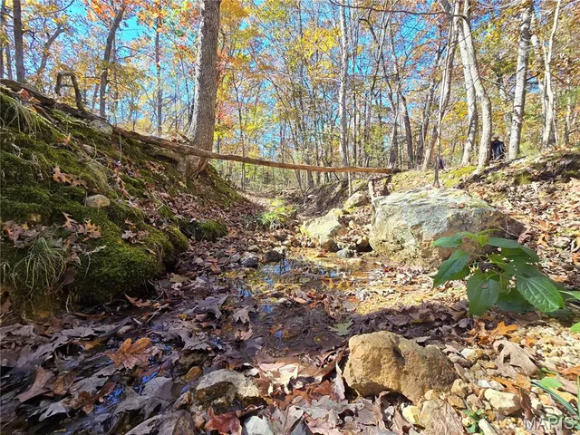 $800,000 | 107 Railroad Lane, Doe Run, MO 63637