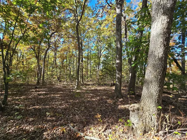 $699,900 | 107 Railroad Lane, Doe Run, MO 63637