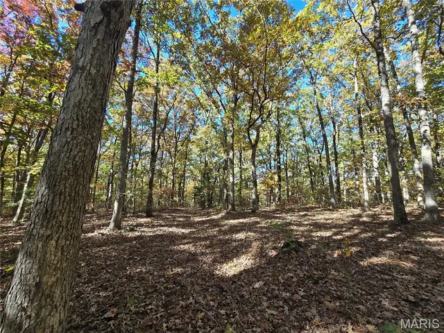 $800,000 | 107 Railroad Lane, Doe Run, MO 63637