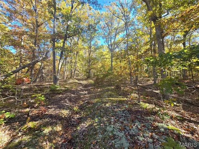 $800,000 | 107 Railroad Lane, Doe Run, MO 63637