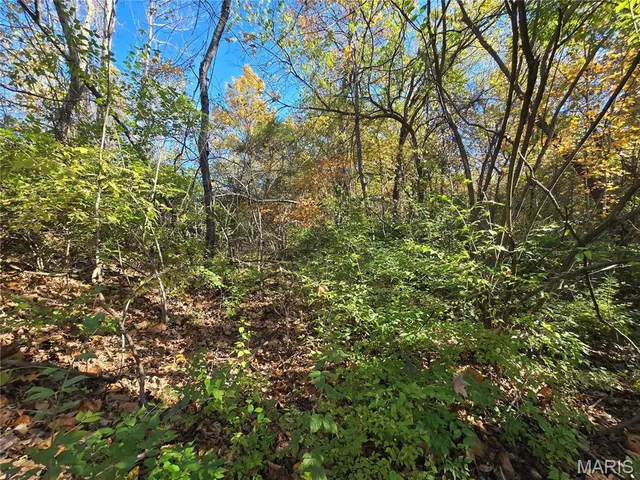 $800,000 | 107 Railroad Lane, Doe Run, MO 63637