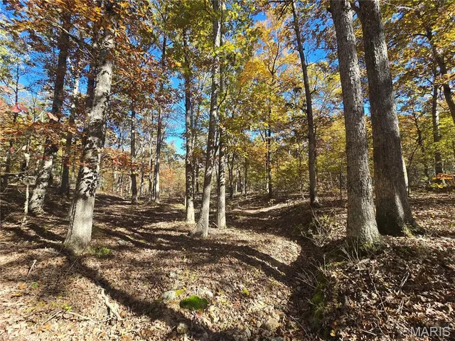 $800,000 | 107 Railroad Lane, Doe Run, MO 63637