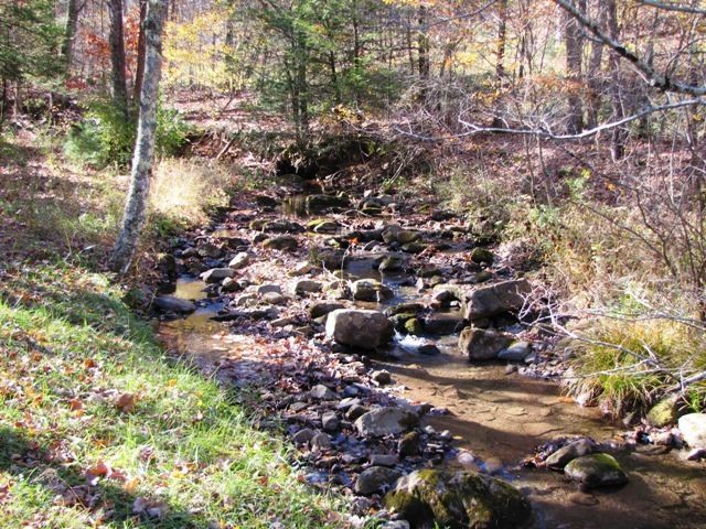 329 Trout Run Road Waiteville, WV 24984 - Photo 44 of 91 Gallery Image 44