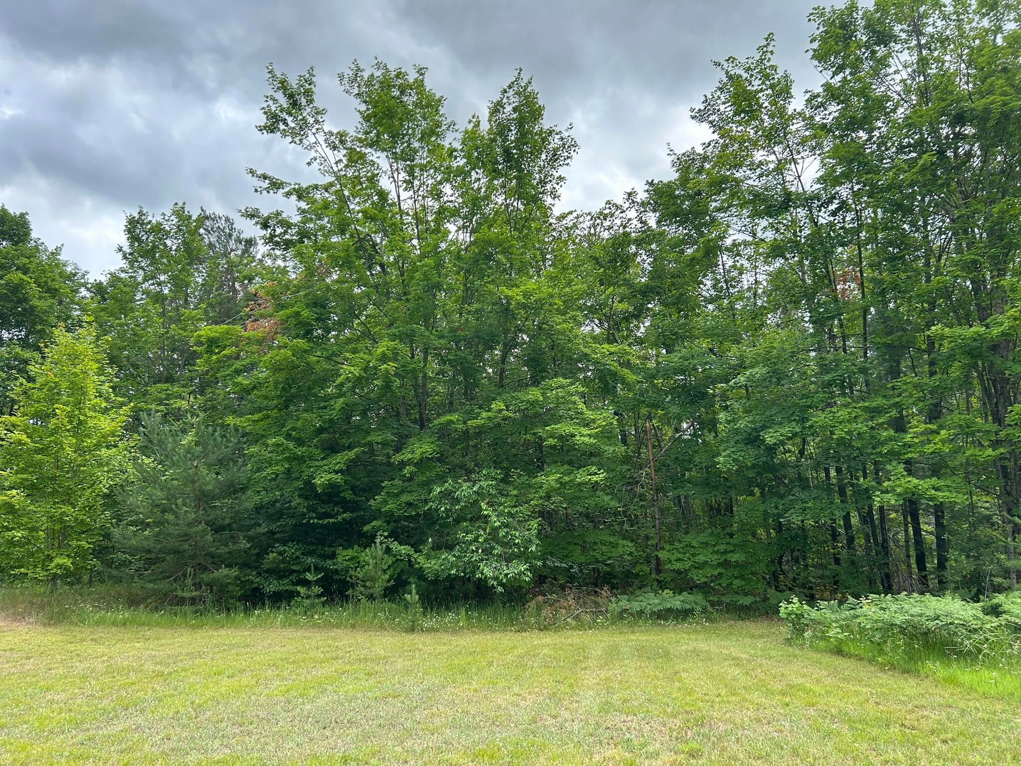 7729 Airport Road Vanderbilt, MI 49795 - Photo 29 of 60 Back Yard 2