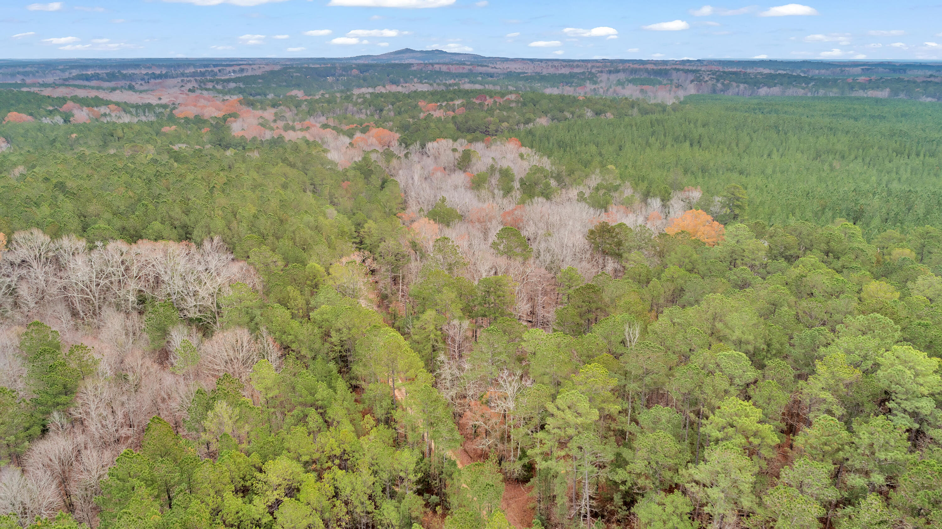 Lot 8 Saggus Road Washington, GA 30673 - Photo 18 of 42 Saggus Rd land 121-007A, 200ft View, Dro