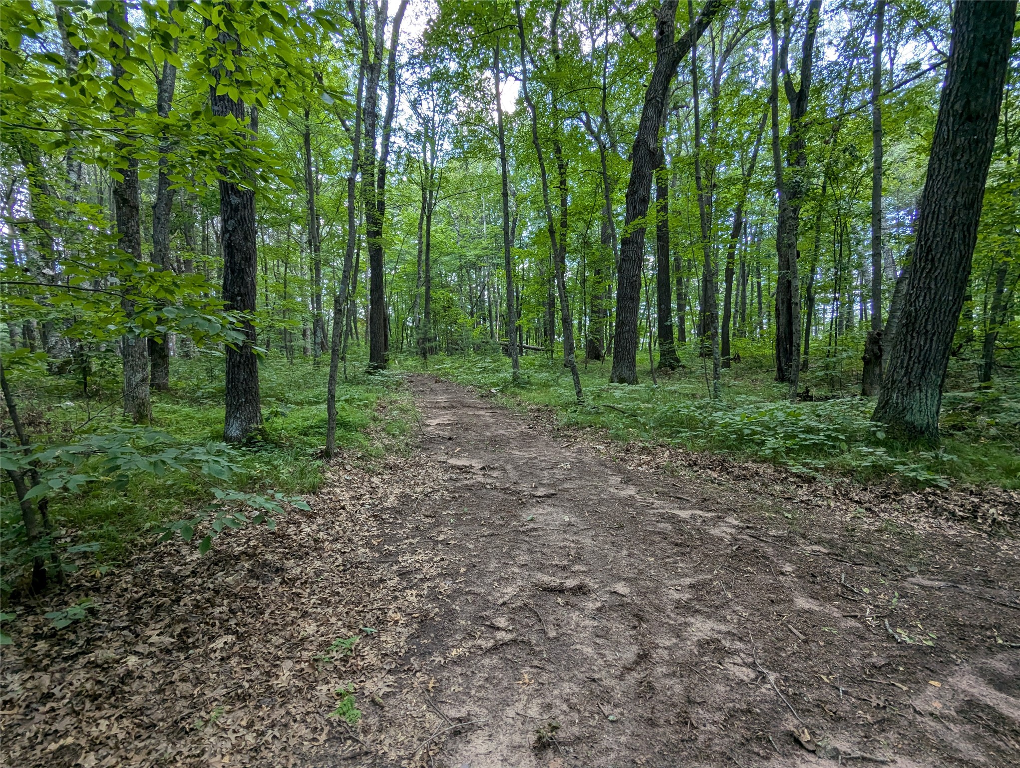 Lot 2 Fosmo Drive Webster, WI 54893 - Photo 3 of 13
