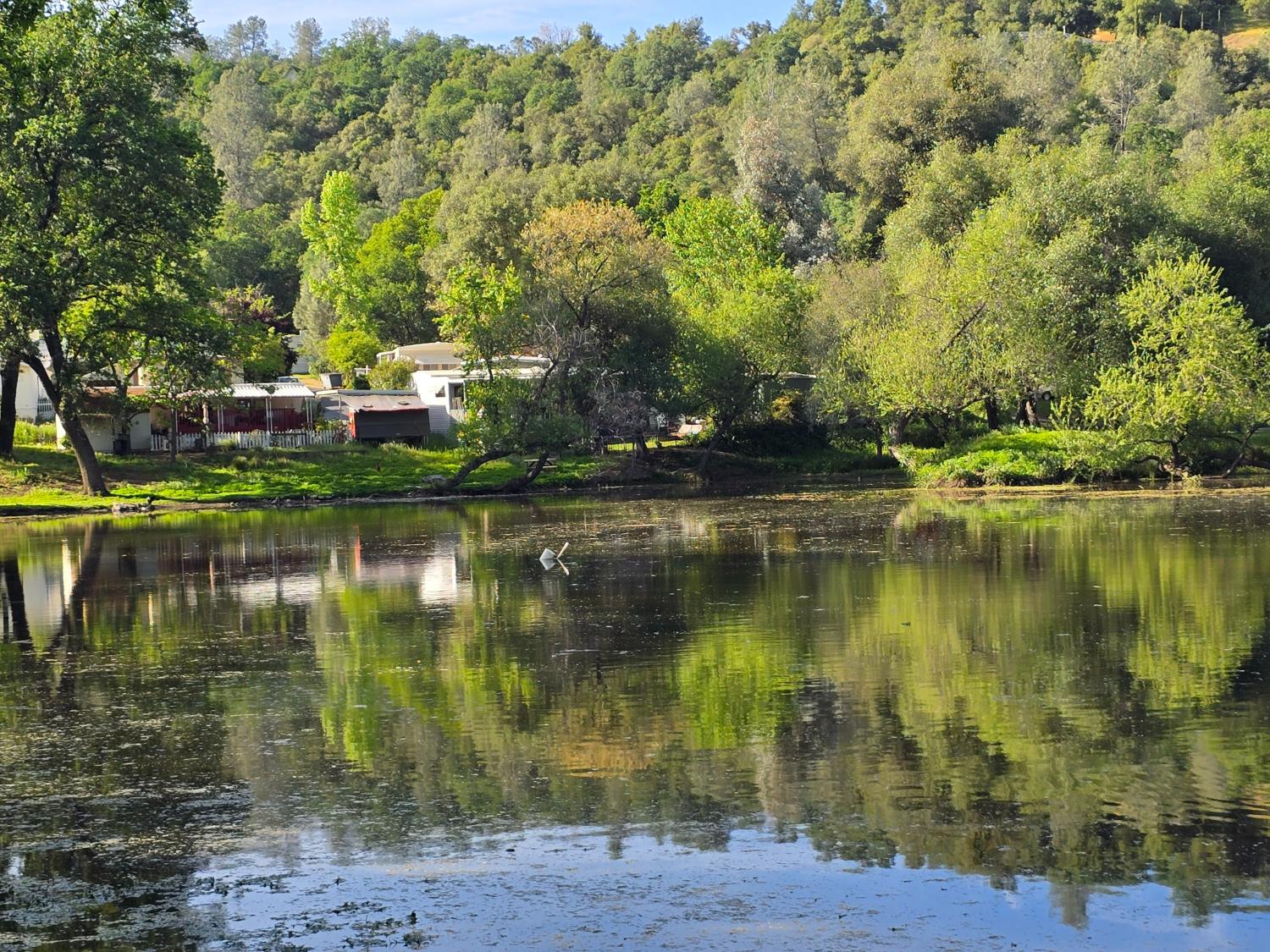 1525 Cold Springs Road, Unit 16 Placerville, CA 95667 - Photo 30 of 38 April 2026-Pond