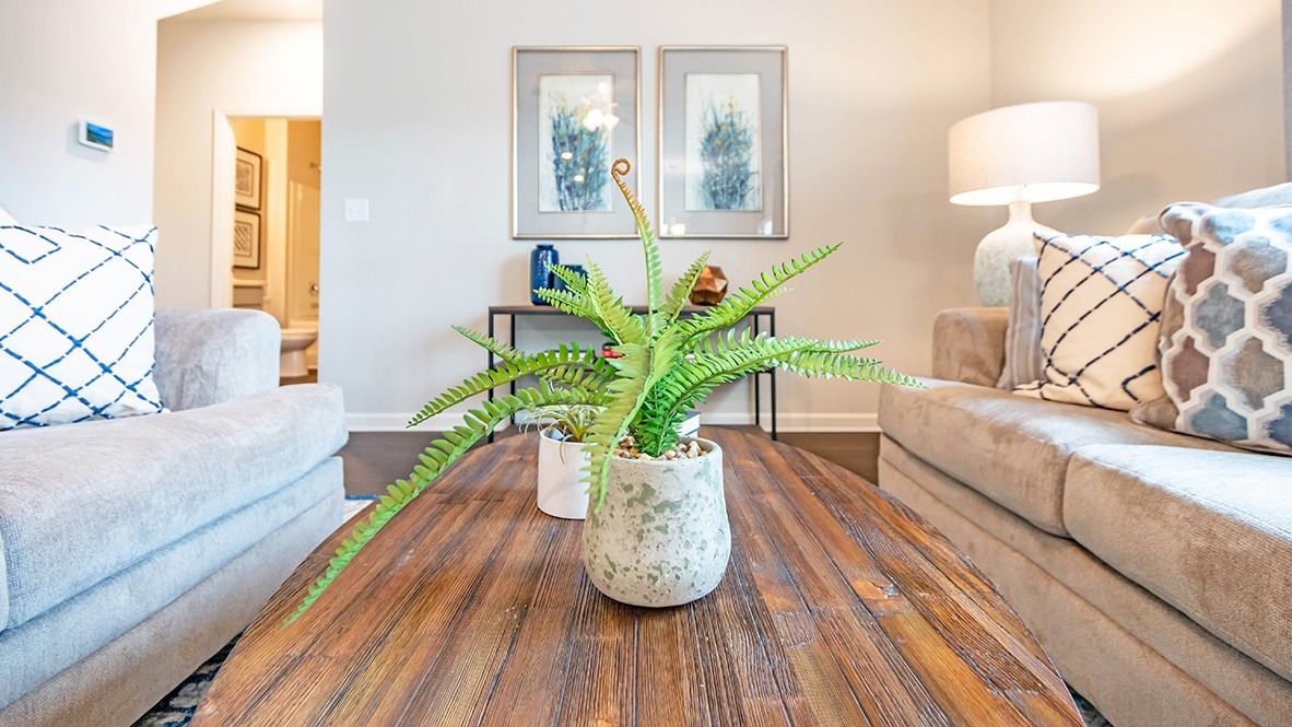 217 Willy Mae Road Murfreesboro, TN 37129 - Photo 12 of 44 Gallery Image 12