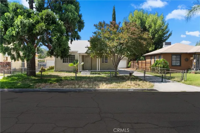 a view of a yard with plants and a tree
