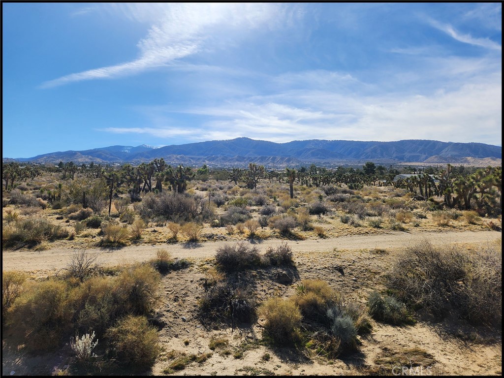 a view of a city with mountains in the background