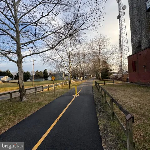 a street view with large trees
