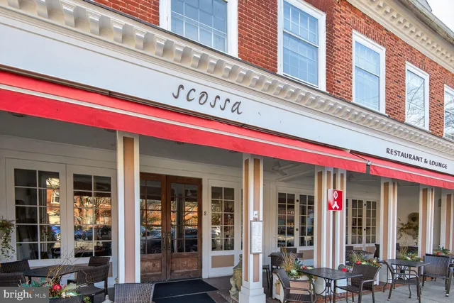 a view of a yard with plants and trees