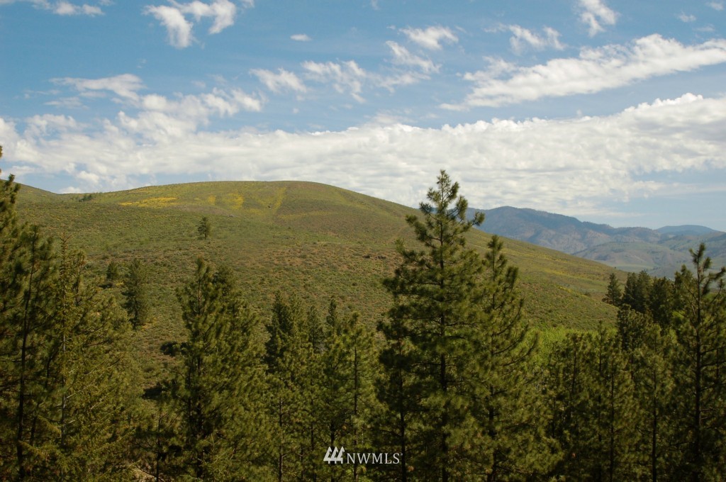 6 C Summer Road Winthrop, WA 98862 - Photo 15 of 22 Gallery Image 15