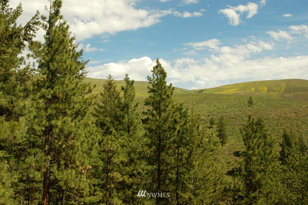 6 C Summer Road Winthrop, WA 98862 - Photo 16 of 22 Gallery Image 16