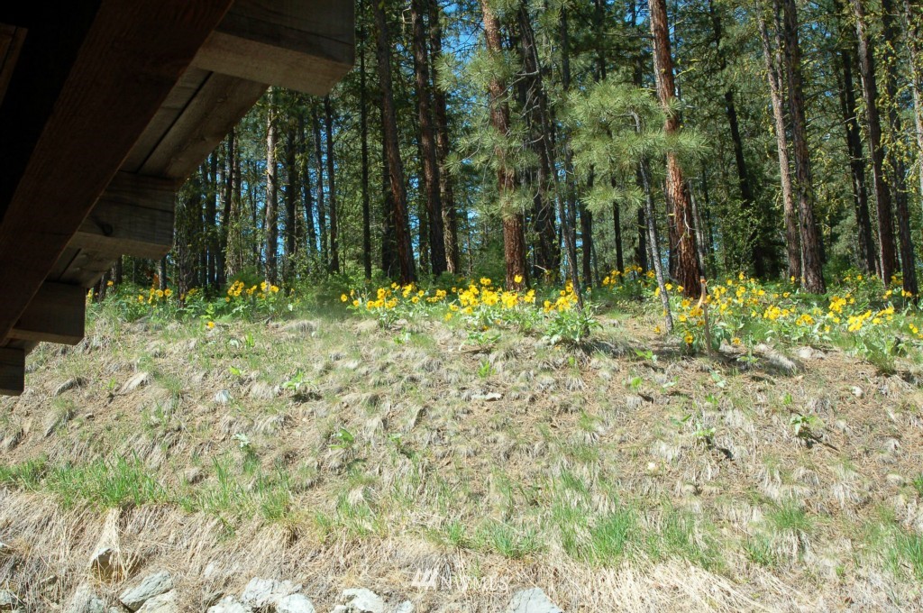 6 C Summer Road Winthrop, WA 98862 - Photo 17 of 22 Gallery Image 17