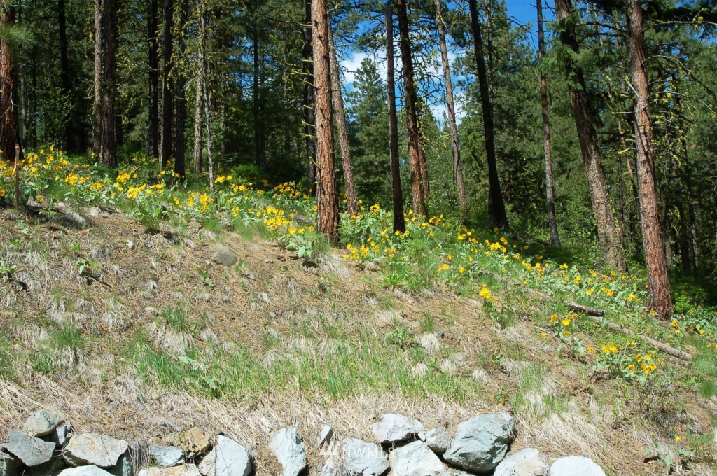 6 C Summer Road Winthrop, WA 98862 - Photo 18 of 22 Gallery Image 18