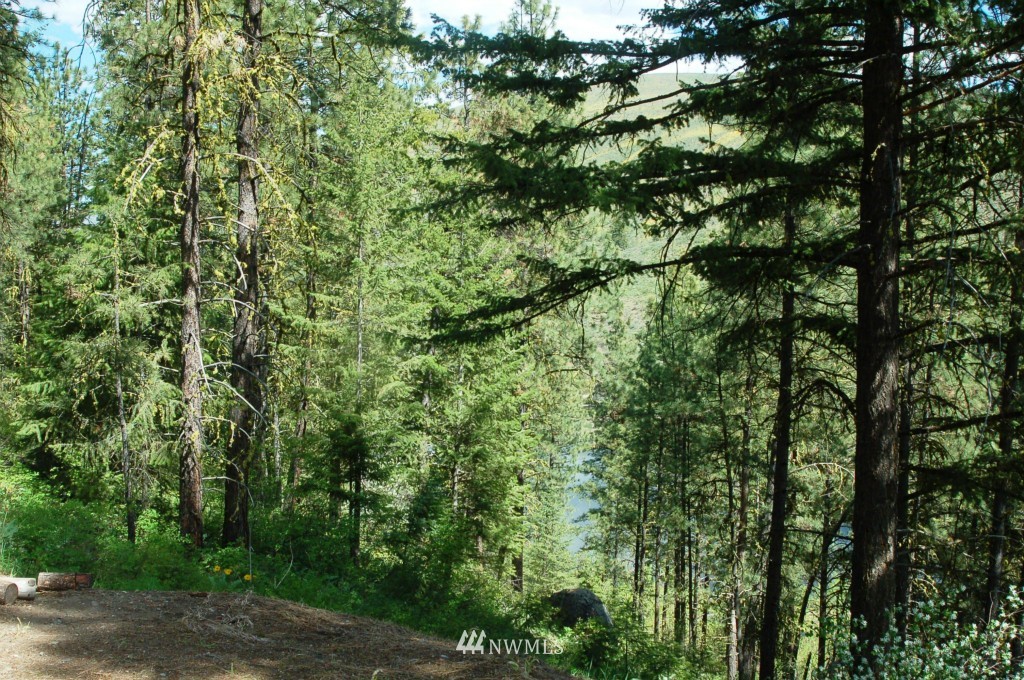 6 C Summer Road Winthrop, WA 98862 - Photo 20 of 22 Gallery Image 20
