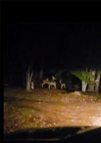 141 Newman Wainwright Road Pollock, LA 71467 - Photo 30 of 33 Gallery Image 30